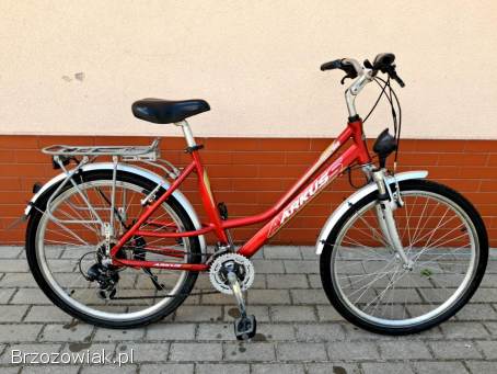 Rower Arkus classic 1000