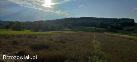 Sprzedam Działkę Rolna 87 arów