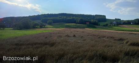 Sprzedam Działkę Rolna 87 arów