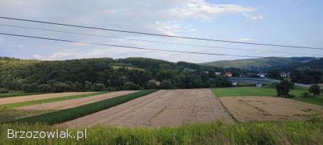 Sprzedam Działkę Rolna 87 arów