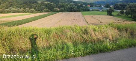 Sprzedam Działkę Rolna 87 arów