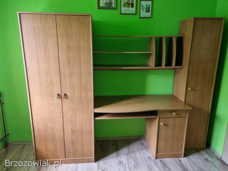 Meble młodzieżowe,  dla dziecka,  meblościanka,  szafa,  biurko