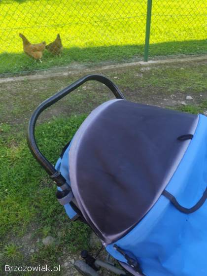 Wózek spacerowy