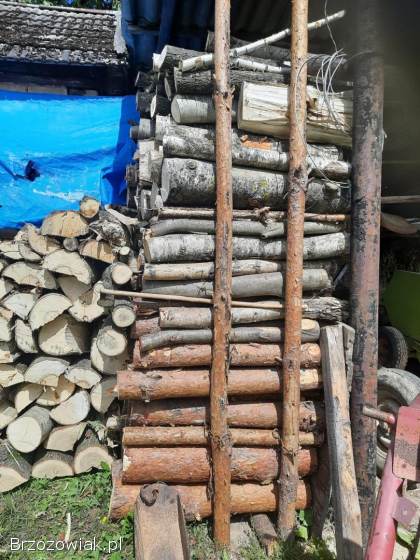 Drewno opałowe mieszanka (osika,  brzoza,  dąb,  sosna)