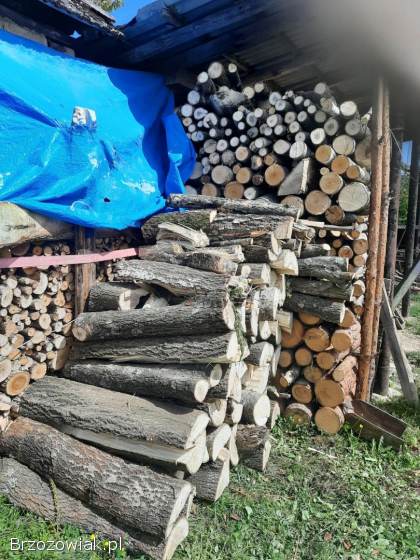 Drewno opałowe mieszanka (osika,  brzoza,  dąb,  sosna)