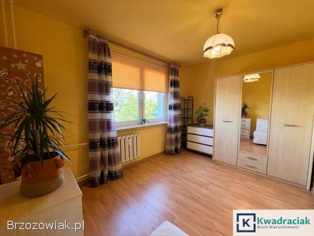 Mieszkanie na Guzikówce