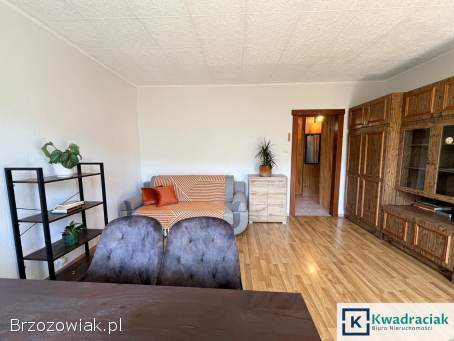 Mieszkanie na Guzikówce