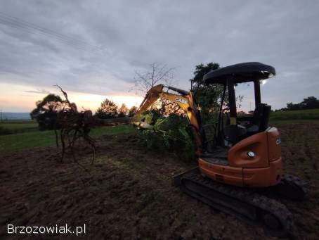 Usługi minkoparką 2,  6t