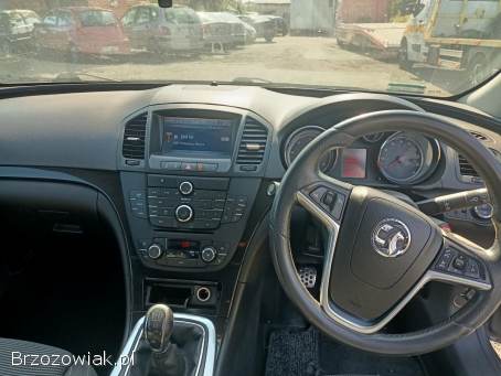 Opel Insignia 2.  0CDTI 160km 2010