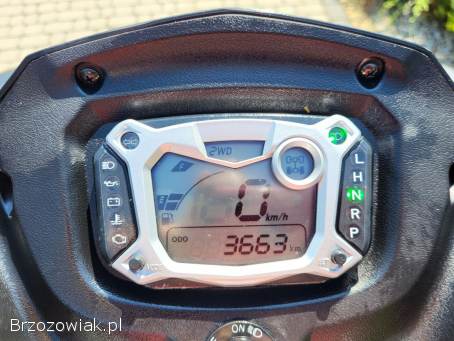 Tgb Blade 1000 -  Homologacja