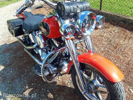 Harley-Davidson Fat Boy 2001