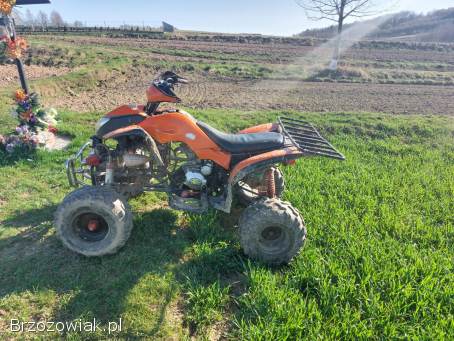 Quad bashan,  atv 200