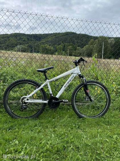 Rower kands staneger 26 cali