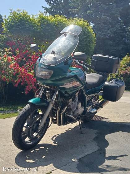 Yamaha XJ 900s 1996