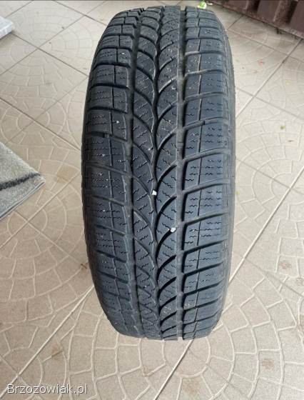 Opony zimowe 195/65 R15