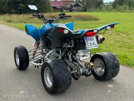 SMC WILDCAT 500//Super Stan