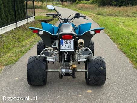 SMC WILDCAT 500//Super Stan