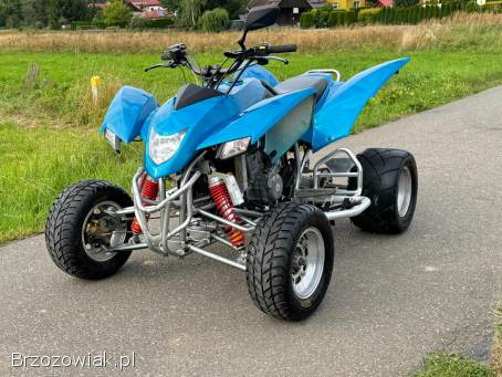 SMC WILDCAT 500//Super Stan