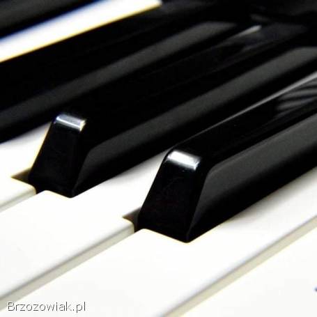 Poszukuję osoby do zespołu