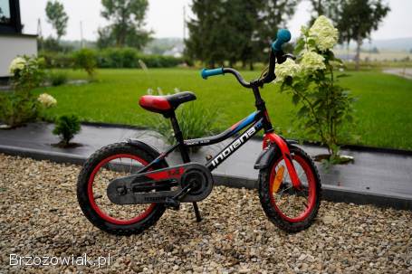 Rowerek dziecięcy