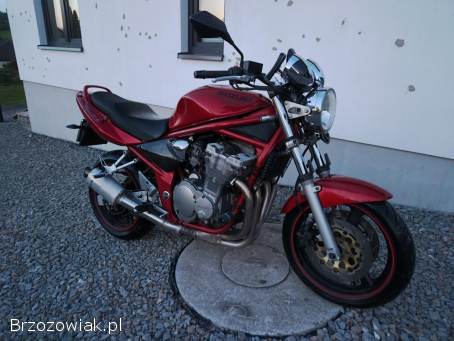 Suzuki Bandit II 2001