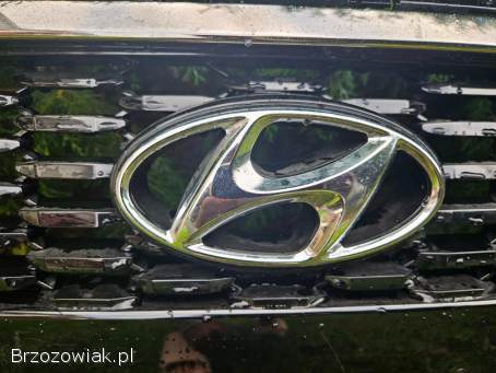 Grill atrapa Hyundai i30