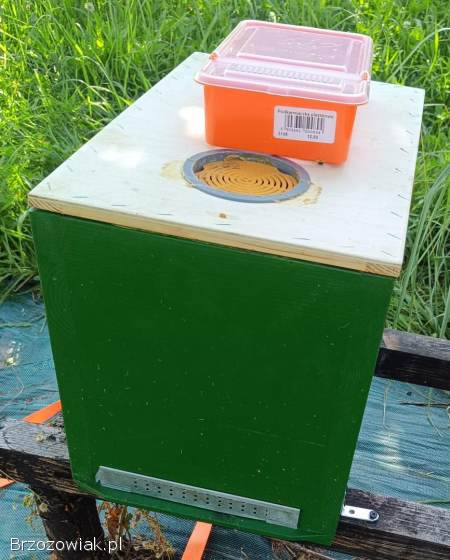 Ul Wielkopolski 6 ramkowy