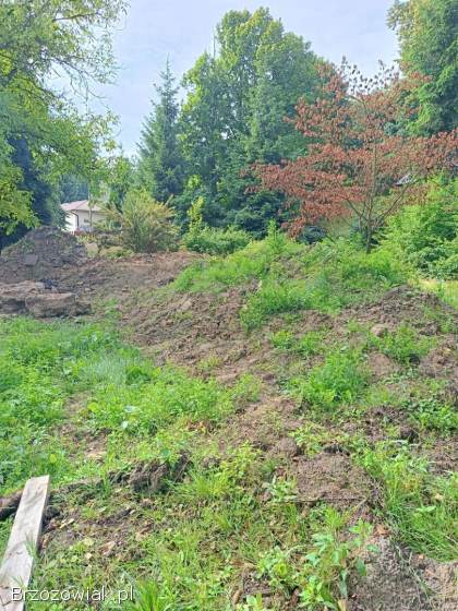 Oddam ziemię i gruz za darmo -  Brzozów