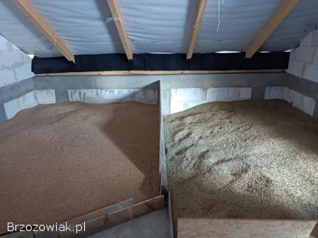 Sprzedam pszenice i owies