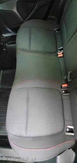 Autodetailing oraz Pranie dywanów i mebli tapicerowanych.