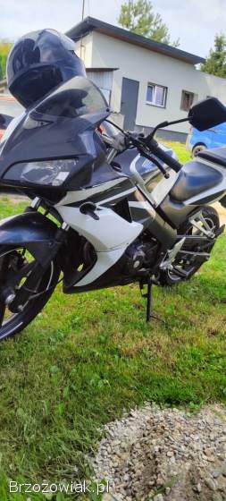 Honda CBR Sport 2008