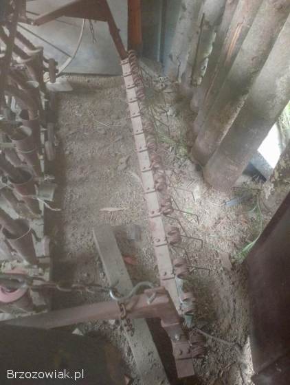 Siewnik 17 lejów poznański