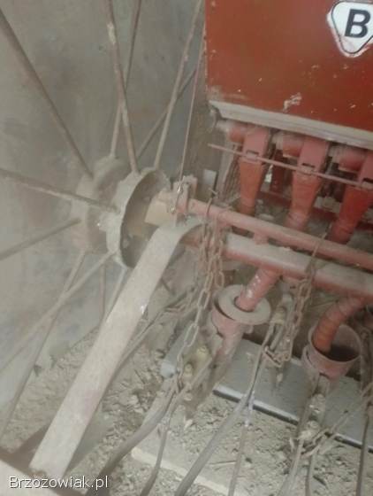 Siewnik 17 lejów poznański