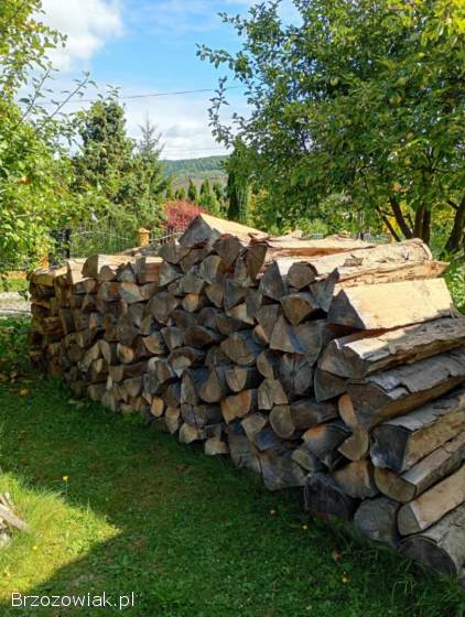 Drewno na sprzedaż