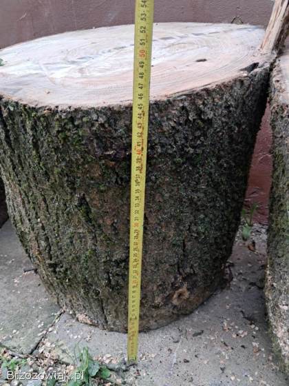 Drzewo opałowe jesion