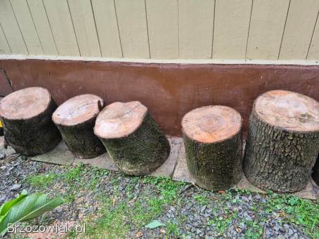 Drzewo opałowe jesion