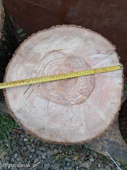 Drzewo opałowe jesion