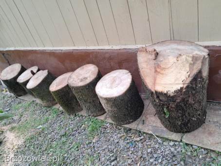 Drzewo opałowe jesion