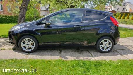 Ford Fiesta MK7 2010