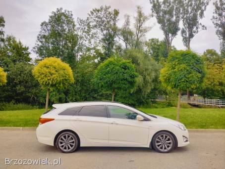 Hyundai i40 BlueActive Solar 2014
