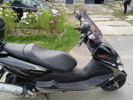 Yamaha Majesty Limited edition 2005