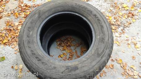 2 opony Goodyear Wrangler m+s