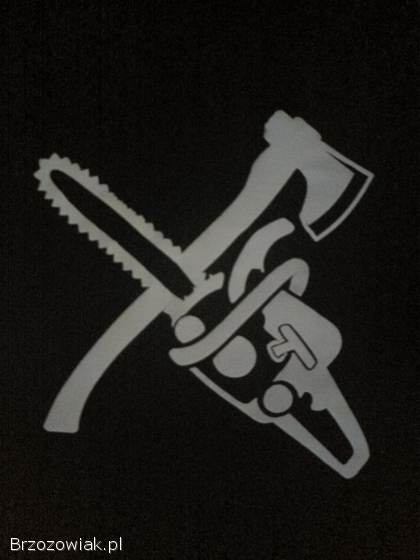 Wycinka drzew metoda alpinistyczna