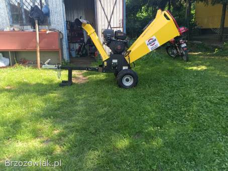 Wycinka drzew metoda alpinistyczna