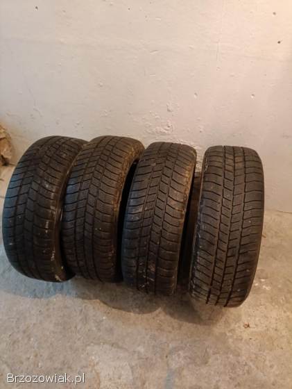 Opony Barum Polaris 3 205/55 r16