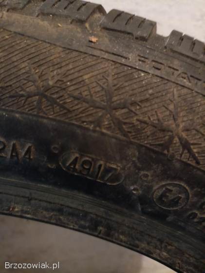 Opony Barum Polaris 3 205/55 r16