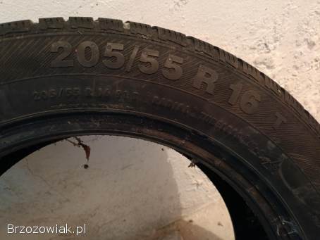 Opony Barum Polaris 3 205/55 r16