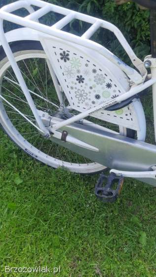 Rower damka 24