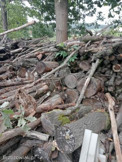 Drewno na opał