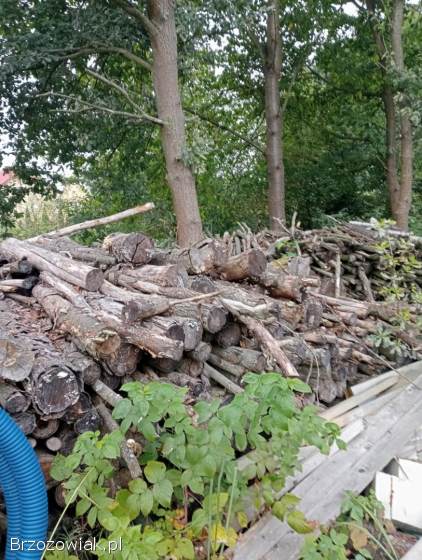 Drewno na opał